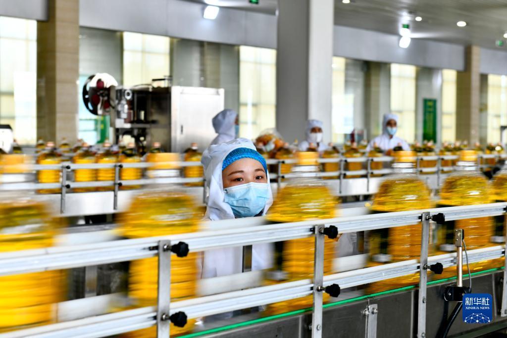 网投老品牌
